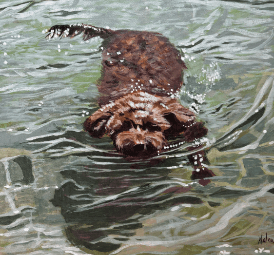 Swimming in Provence 1 by Helen Sutton — Acrylic on canvas
